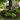 A real Northern Illinois front yard in early summer, featuring a freshly mulched garden bed under a shade tree, with healthy perennials and shrubs. A garden hose lies coiled nearby, and there are visible water droplets on the plants. The background shows 