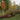 A lush Northern Illinois backyard in early autumn, with a mix of young maples and oaks showing red and orange leaves, serviceberry trees in the background, and groupings of viburnum, ninebark, and hydrangea shrubs along a mulched garden bed. Fallen leaves