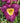'Bela Lugosi' Daylily