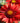 Blanket Flower 'Arizona Red Shades'