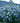 Blue Chiffon® Rose-of-Sharon