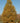 Exclamation!™ London Planetree