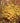 Vernal Witchhazel