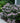 Tiny Tuff Stuff™ Mountain Hydrangea