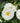 Oso Easy Ice Bay™ Rose