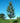 American Sentry® Linden