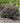 Sunjoy Todo® Barberry