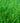 Roots & All Shade Blend Grass Seed
